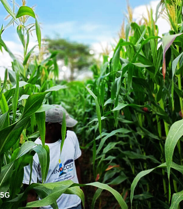 l’alimentation et l’encadrement